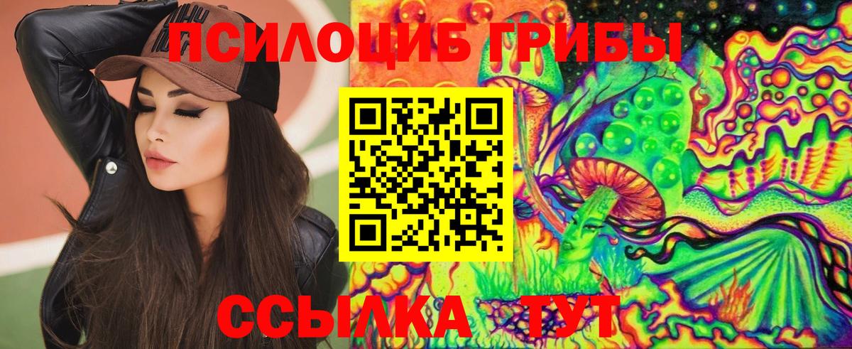 Псилоцибиновые грибы MAGIC MUSHROOMS  купить закладку  Сосновоборск  Вход с VPN 